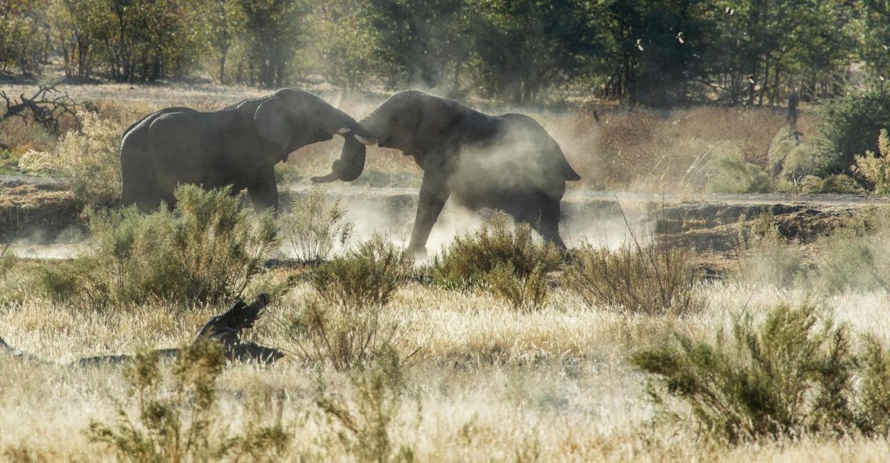 Hobatere Lodge Otjovasandu Exteriér fotografie