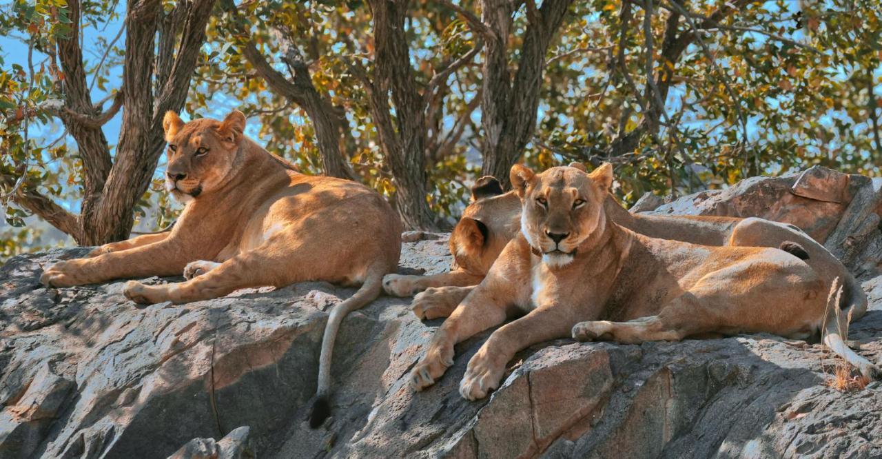 Hobatere Lodge Otjovasandu Exteriér fotografie